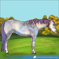 Horse Color:Painted Liver Red Onyx Ice Sabino 