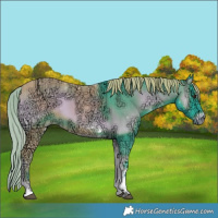 Horse Color:Watercolor Liver Red Onyx Ice Tobiano 
