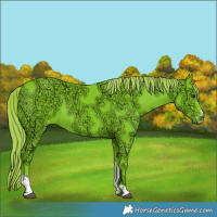 Horse Color:Watercolor Liver Chestnut Ice Sabino 