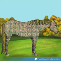 Horse Color:Painted Plaid Buckskin Ice Dun