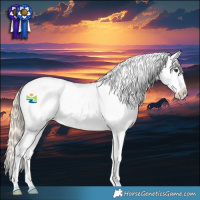 Horse Color:Chocolate Palomino Ice Sabino Splash Frame Appaloosa Rabicano