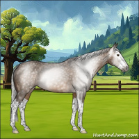 Horse Color:Gray Silver Brown Dun Splash 