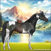 Horse Color:Brown Tobiano 