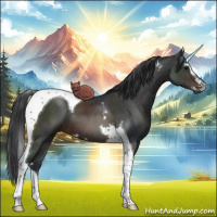 Horse Color:Brown Sabino Tobiano