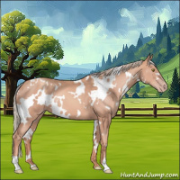 Horse Color:White Spotted Gold Champagne 