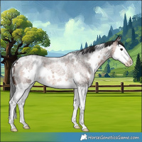 Horse Color:White Spotted Brown Roan Splash 
