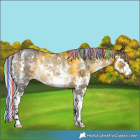 Horse Color:Painted Silver Buckskin Sabino Splash Rabicano 