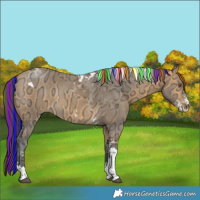 Horse Color:Painted Buckskin Ice Sabino Tobiano Rabicano 