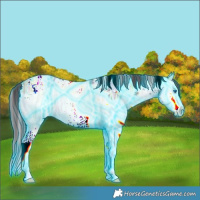 Horse Color:Thunderstruck White Spotted Chocolate Brown Ice Splash Rabicano 