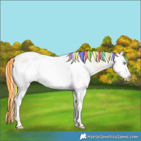 Horse Color:Painted White Spotted Chocolate Perlino Ice Splash Frame 