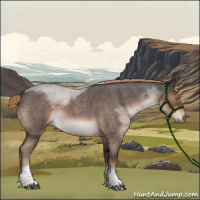 Horse Color:Liver Red Roan Tobiano 