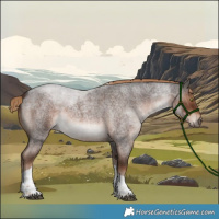 Horse Color:Liver Red Roan Tobiano 