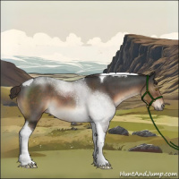 Horse Color:Liver Red Roan Tobiano 