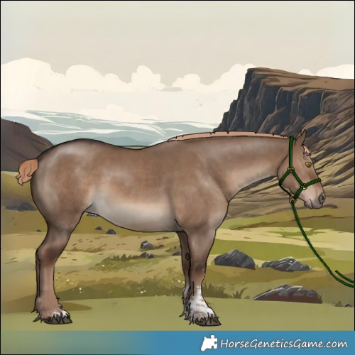 Horse Color:Liver Red Dun Sabino Rabicano