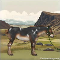 Horse Color:Gray White Spotted Liver Chestnut 