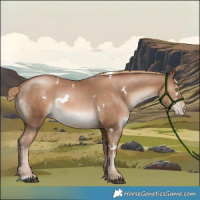 Horse Color:White Spotted Liver Chestnut Pearl 