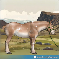 Horse Color:White Spotted Liver Chestnut Pearl 