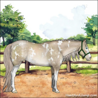 Horse Color:White Spotted Chocolate Palomino Pearl Mushroom Rabicano 