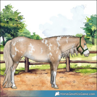 Horse Color:White Spotted Chocolate Palomino Pearl Mushroom Rabicano