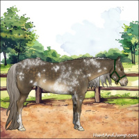 Horse Color:White Spotted Chocolate Palomino Tobiano 