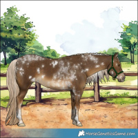 Horse Color:White Spotted Chocolate Palomino Tobiano 