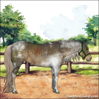 Horse Color:Chocolate Palomino Tobiano 