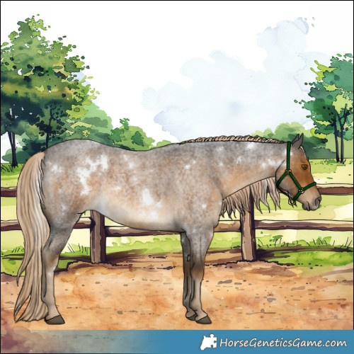 Horse Color:White Spotted Chocolate Palomino Roan 