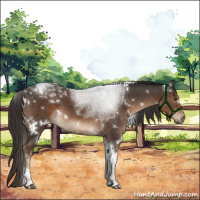 Horse Color:White Spotted Liver Chestnut Tobiano 