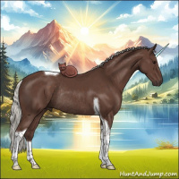 Horse Color:Silver Black Tobiano Rabicano