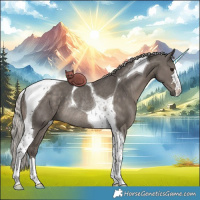 Horse Color:Silver Black Tobiano Rabicano 