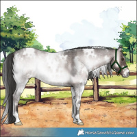Horse Color:Platinum White Spotted Liver Red Onyx Roan