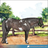 Horse Color:Platinum White Spotted Liver Chestnut Tobiano 