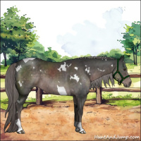 Horse Color:Platinum White Spotted Liver Chestnut Tobiano