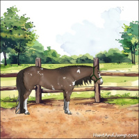 Horse Color:White Spotted Liver Chestnut Rabicano