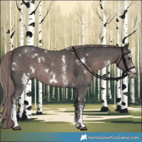 Horse Color:Platinum White Spotted Liver Chestnut Sabino 