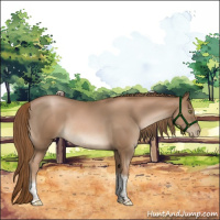 Horse Color:Liver Chestnut Pearl Tobiano
