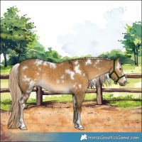 Horse Color:White Spotted Chocolate Palomino Dun Rabicano 