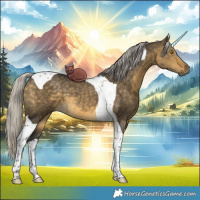 Horse Color:Silver Buckskin Dun Tobiano 