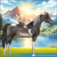 Horse Color:Brown Dun Tobiano 
