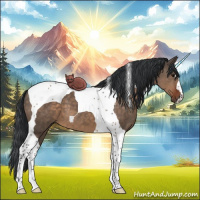 Horse Color:Brown Dun Tobiano 
