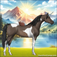 Horse Color:Brown Dun Tobiano