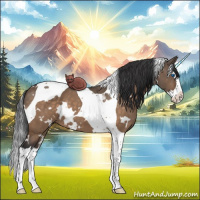 Horse Color:White Spotted Brown Dun Splash Tobiano