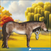 Horse Color:White Spotted Liver Red Dun Brindle