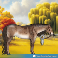Horse Color:White Spotted Liver Red Dun Brindle 