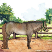 Horse Color:Liver Red Dun Brindle 
