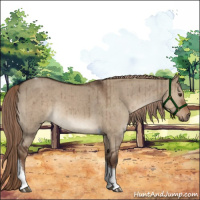 Horse Color:Liver Red Dun Tobiano Brindle