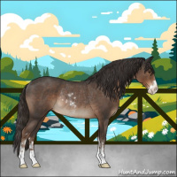 Horse Color:Liver Red Roan Sabino Rabicano