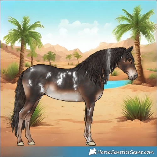Horse Color:White Spotted Liver Chestnut Sabino
