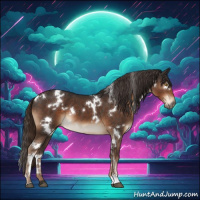 Horse Color:White Spotted Liver Chestnut 