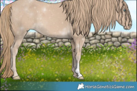Horse Color:Smoky Creme 